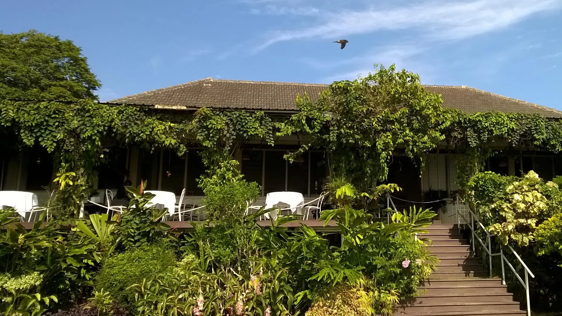 Bellevue The Penang Hill Hotel George Town