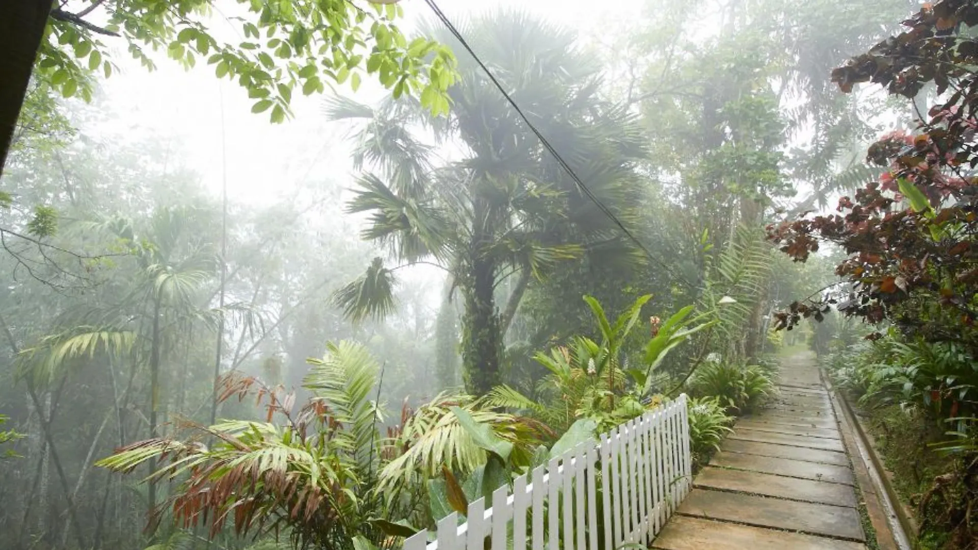 הקונטקטים של Bellevue The Penang Hill Hotel